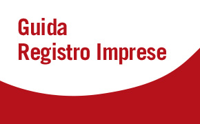 Guida registro imprese